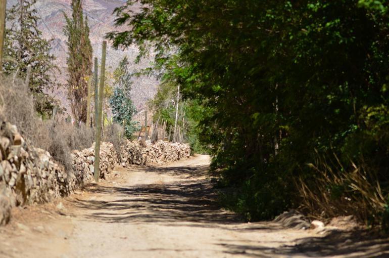 Refugios Pisco Elqui Villa Exterior photo